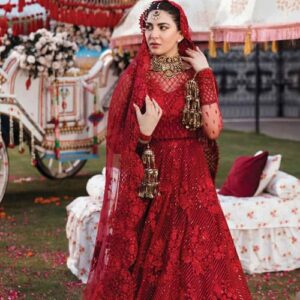 Shehnai Wedding Formals Collection by Afrozeh
