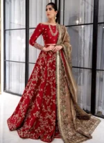 Red Bridal Pakistani Dress