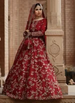 Red Bridal Pakistani Dress 4