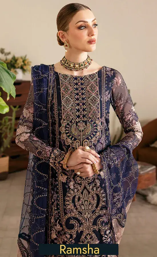 Embroidered Organza E 101 4