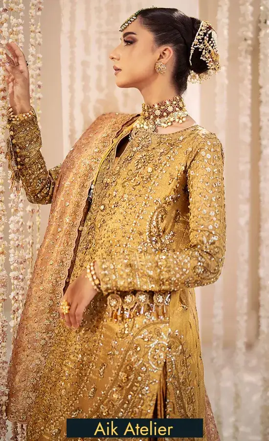 Embroidered Organza Look 01 5
