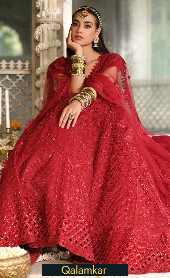 Red Colour Lehenga Choli -For Wedding Guests