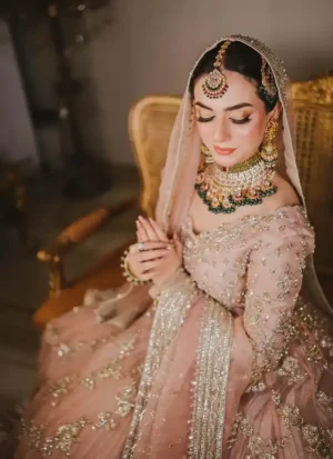 Tea Rose Organza Bridal Peshwas