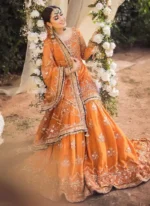 Orange Bridal Gharara Video