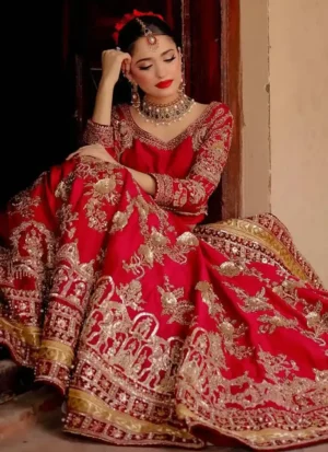 Blush Red Velvet Bridal Lehenga Choli