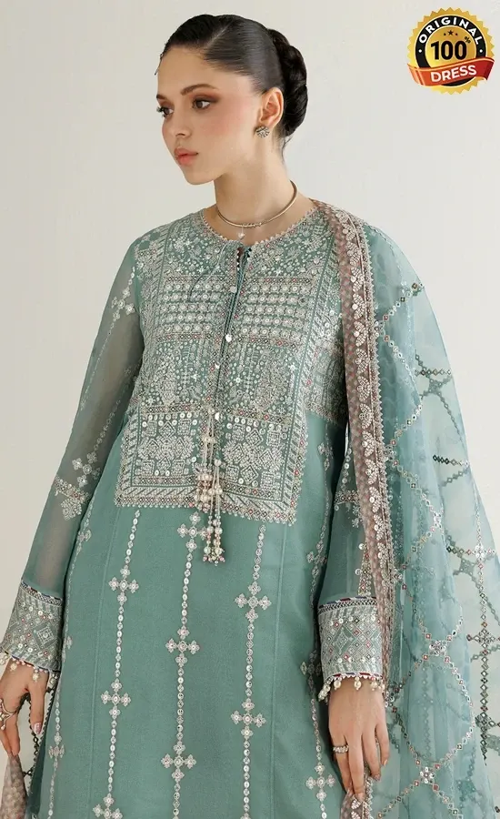 Pakistani light blue salwar kameez for wedding guests with embroidered chiffon and organza detailing