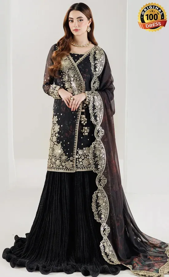 Embroidered Chiffon Raven Noir Dress (3)