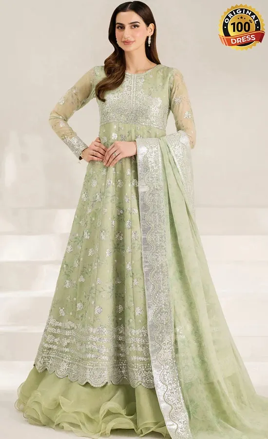 Embroidered Chiffon Sage Sparkle Dress (2) Embroidered Chiffon Sage Sparkle Dress (2)