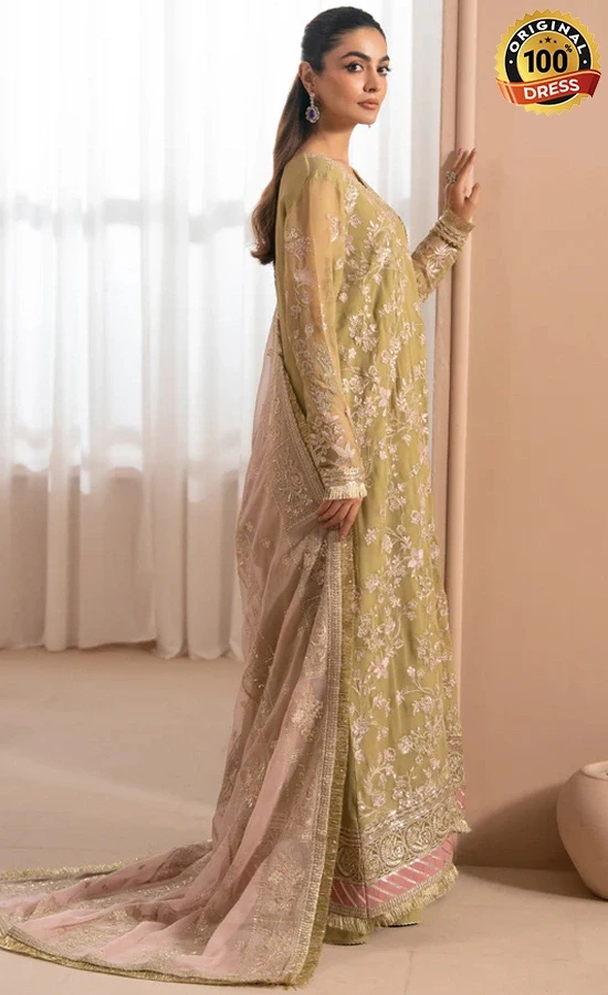 Embroidered Chiffon NIVVI Dress
