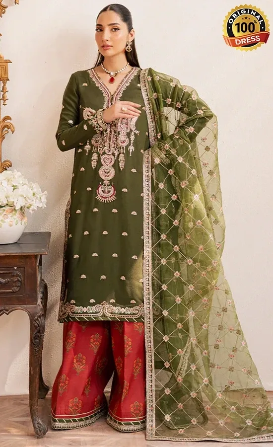 Embroidered Chiffon Oraya Dress (3)
