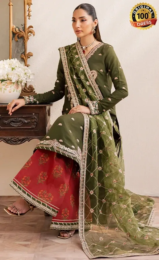 Embroidered Chiffon Oraya Dress (4)