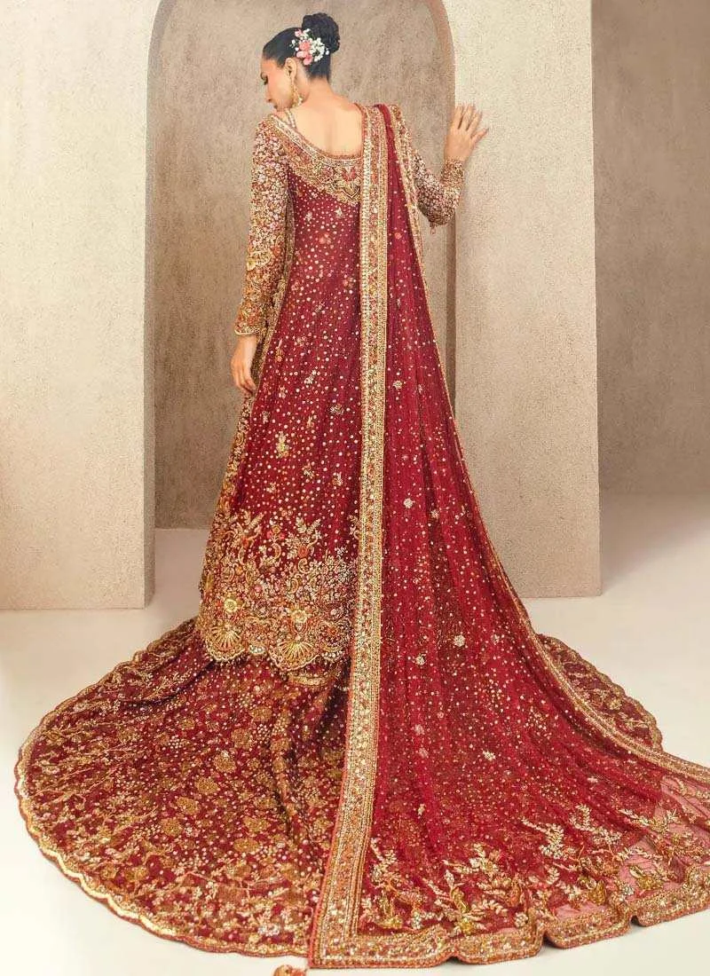 Tena Durrani Farshi Lehenga with Gown (3)