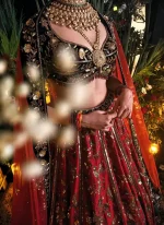 Red Velvet Bridal Lehenga with Black Blouse Video