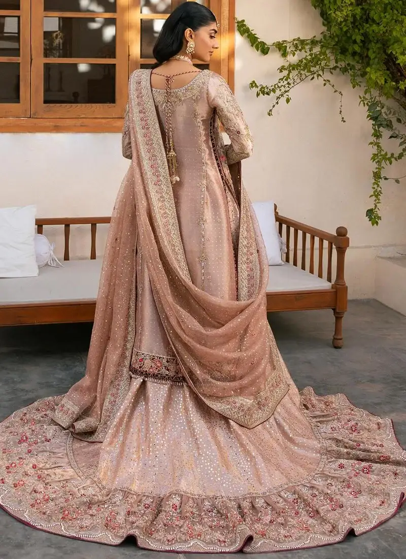 Dusty pink farshi gharara back view with a sweeping floral-embroidered trail and sheer bordered dupatta
